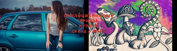 ПСИЛОЦИБИНОВЫЕ ГРИБЫ Бронницы