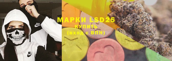 твердый Бородино