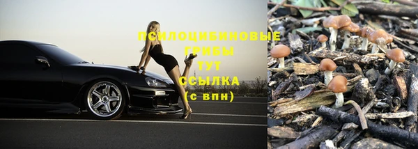 ПСИЛОЦИБИНОВЫЕ ГРИБЫ Бронницы