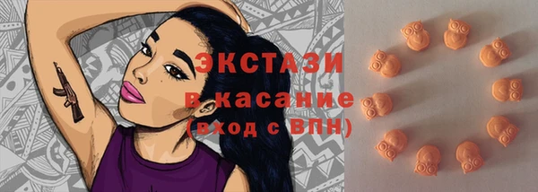 твердый Бородино