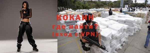 твердый Бородино