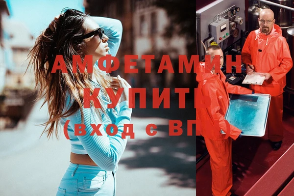 твердый Бородино