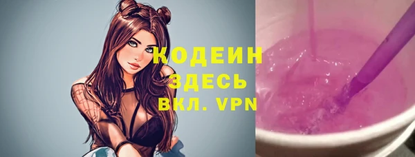 твердый Бородино