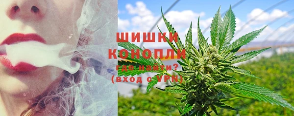 твердый Бородино