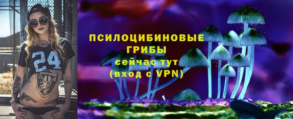 ПСИЛОЦИБИНОВЫЕ ГРИБЫ Бронницы