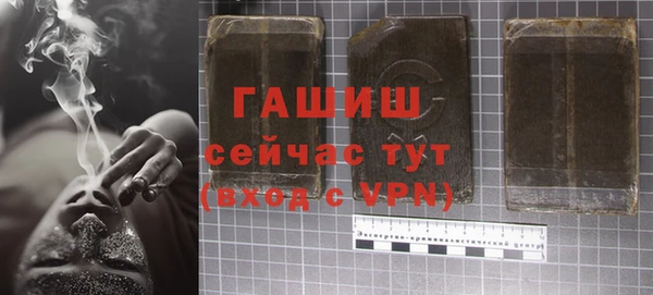 твердый Бородино