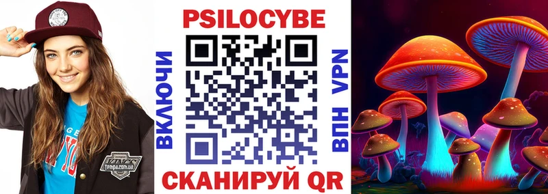 Псилоцибиновые грибы GOLDEN TEACHER Подпорожье